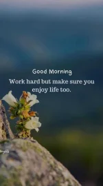 good morning image with good morning wish