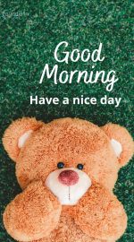 good morning image with good morning wish