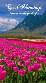 good morning image with good morning wish