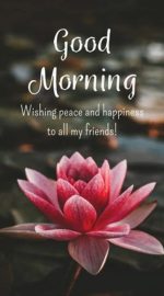 good morning image with good morning wish